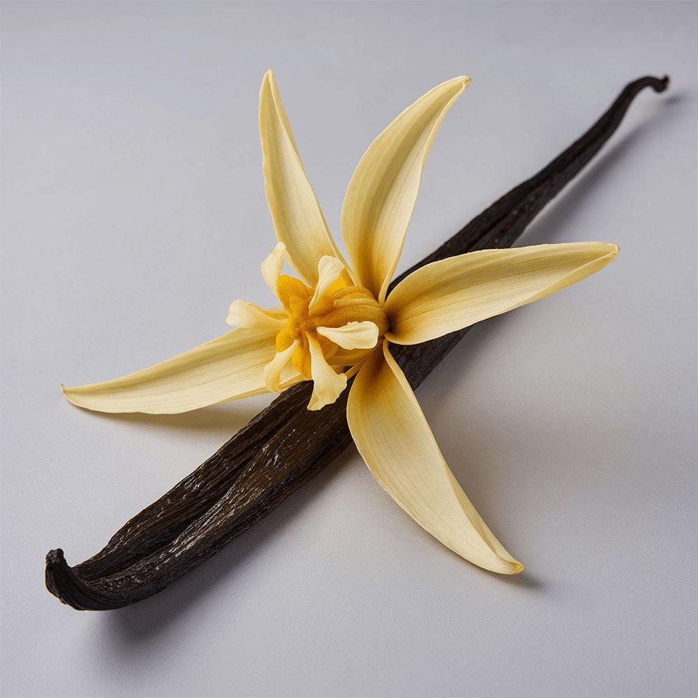 Tallow Whip